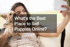 Whats the Best Place to Sell Puppies Online?