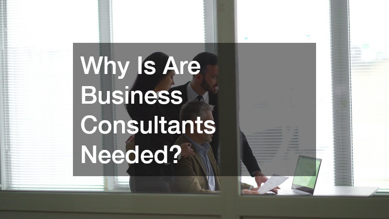Why Is Are Business Consultants Needed?