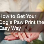 How to Get Your Dogs Paw Print the Easy Way